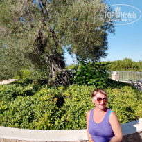 фото из отзыва ID 2736843