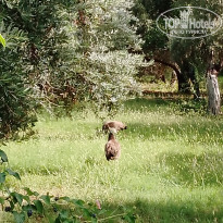 фото из отзыва ID 2736843