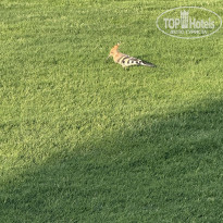 фото из отзыва ID 2737910