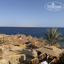 фото из отзыва ID 2737910