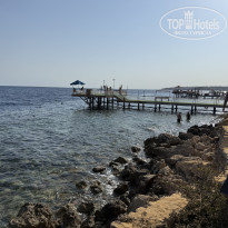 фото из отзыва ID 2737910