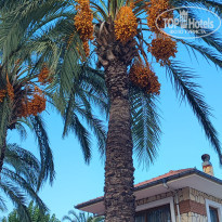 фото из отзыва ID 2737923