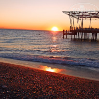 фото из отзыва ID 2737937