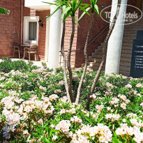 фото из отзыва ID 2737937