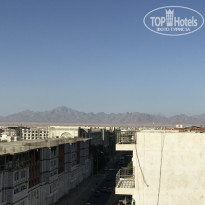 фото из отзыва ID 2737935