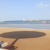 фото из отзыва ID 2737949