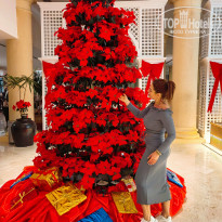 фото из отзыва ID 2735000