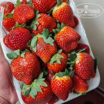 фото из отзыва ID 2735000