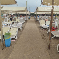 фото из отзыва ID 2737947