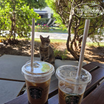 фото из отзыва ID 2737982