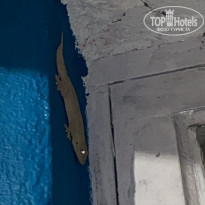 фото из отзыва ID 2737983