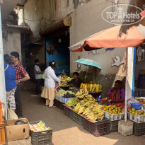 фото из отзыва ID 2737983