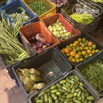 фото из отзыва ID 2737983