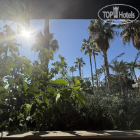 фото из отзыва ID 2738028