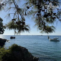 фото из отзыва ID 2738028