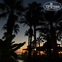 фото из отзыва ID 2738028