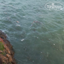 фото из отзыва ID 2738031