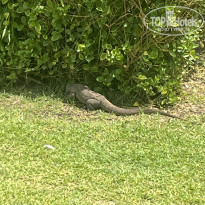 фото из отзыва ID 2738035