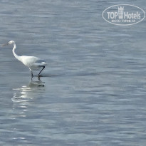 фото из отзыва ID 2738024