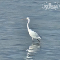 фото из отзыва ID 2738024