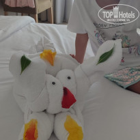 фото из отзыва ID 2738024