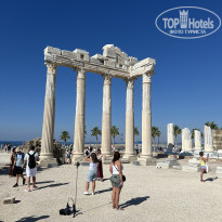 фото из отзыва ID 2737411