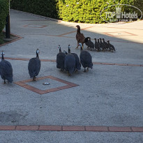 фото из отзыва ID 2738056