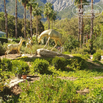 фото из отзыва ID 2738056