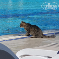 фото из отзыва ID 2738056