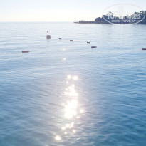 фото из отзыва ID 2738056