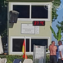 фото из отзыва ID 2738056