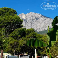 фото из отзыва ID 2738056