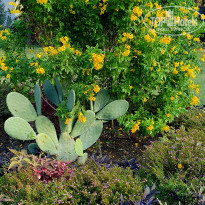 фото из отзыва ID 2738056