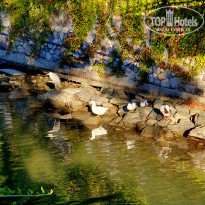 фото из отзыва ID 2738056