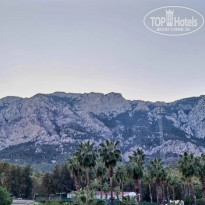 фото из отзыва ID 2738056