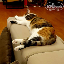 фото из отзыва ID 2738056