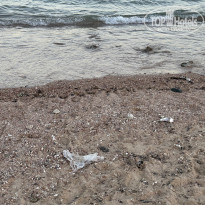 фото из отзыва ID 2738057