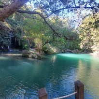 фото из отзыва ID 2738063