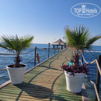 фото из отзыва ID 2738063