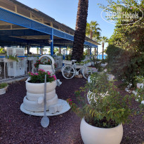 фото из отзыва ID 2738063