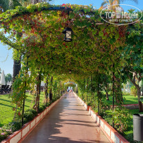 фото из отзыва ID 2738063