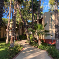 фото из отзыва ID 2738069