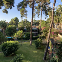 фото из отзыва ID 2738069