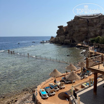 фото из отзыва ID 2738083