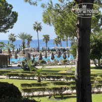 фото из отзыва ID 2738100