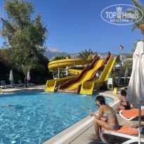 фото из отзыва ID 2738107