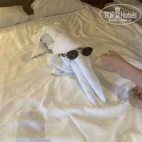 фото из отзыва ID 2738117