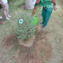 фото из отзыва ID 2738135