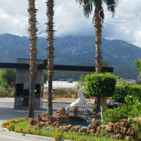 фото из отзыва ID 2738142