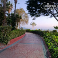 фото из отзыва ID 2738156